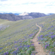 Illustration for article titled Happy Trails: How a Record-Holding Long-Distance Hiker Plans Her Trips